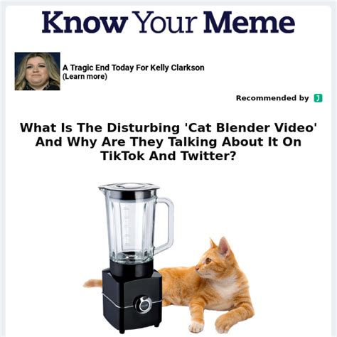 What Is The Disturbing Cat Blender Video And Why Are They。